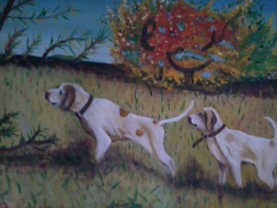 cani curiosi